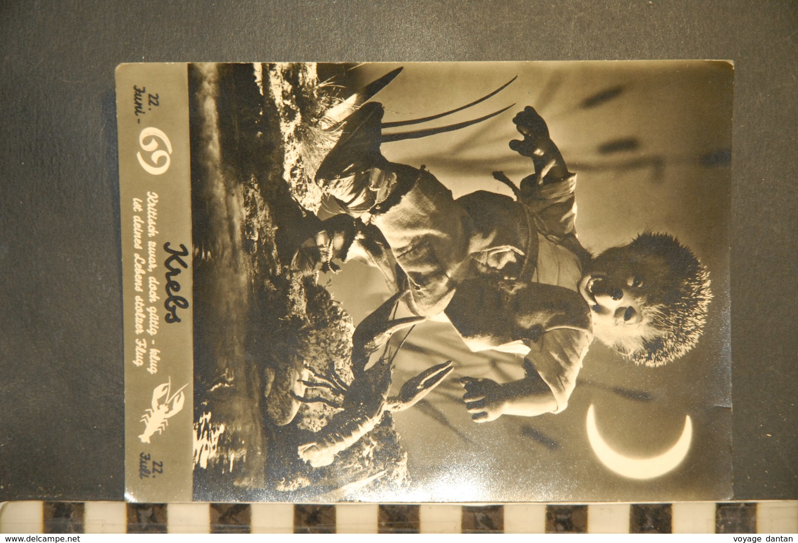 CP, Diehl Film Postcard, Mecki,  Sternzeichen Krebs,  Aus Der Filmen Der Gebrüder Diehl , 507, Hérisson, August Gunkel - Mecki