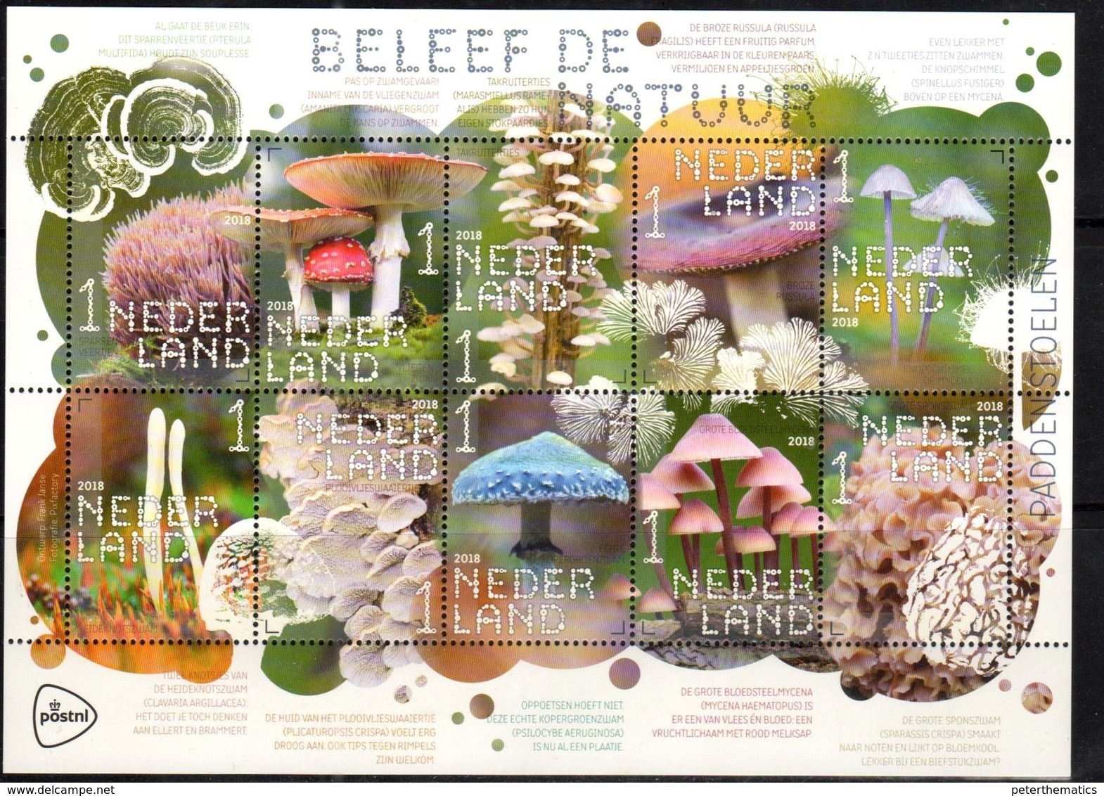 NETHERLANDS, 2018, MNH, MUSHROOMS,  SHEETLET - Mushrooms