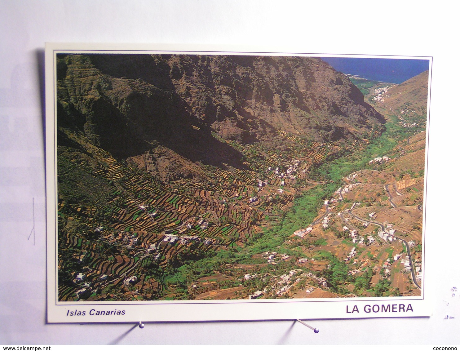 Los Organos - La Gomera - Guada V. Gran Rey - Gomera