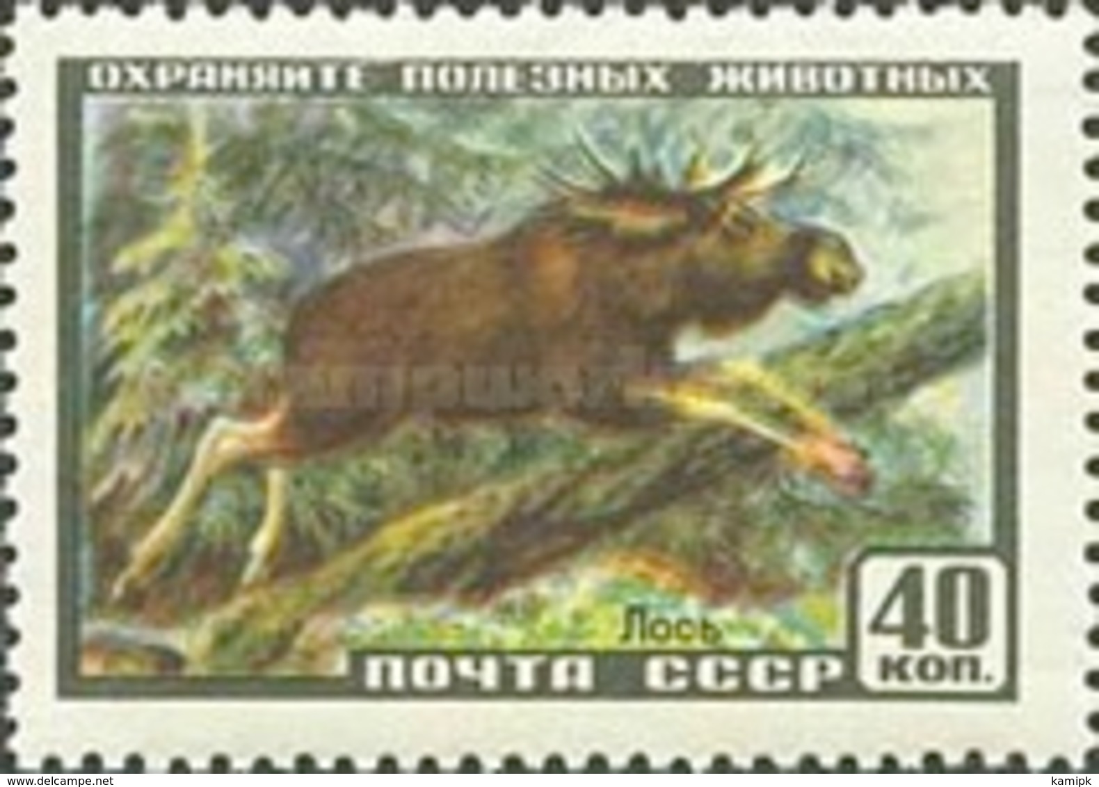 MINT STAMPS USSR - Wild Life	  -  1957 - Unused Stamps