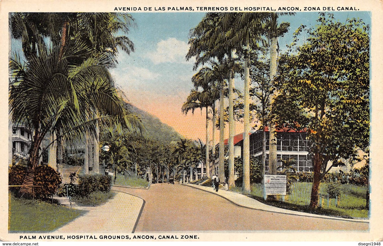 M07875 "PALM AVENUE,HOSPITAL GROUNDS,ANCON CANAL ZONE" ANIMATA  CART ORIG. NON SPED. - Panama