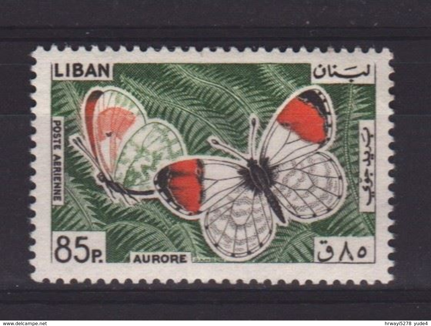 Lebanon 1965, Butterfly, Minr 905, Mlh. Cv 4 Euro - Liban