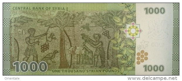 SY P. 116 1000 P 2013 UNC - Syrie