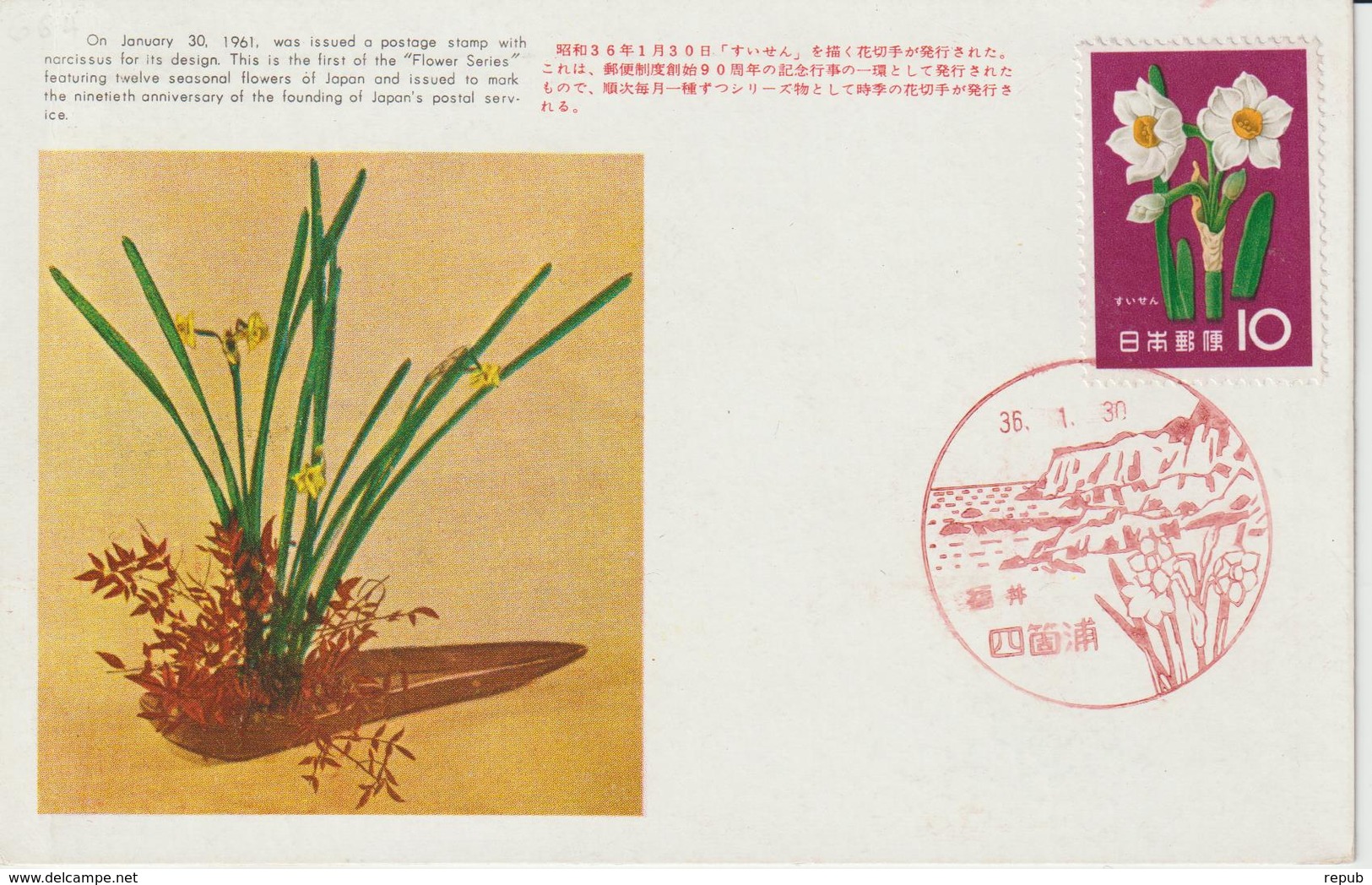 Carte Maximum Japon 1961 Série Fleurs Narcisses 664 - Tarjetas – Máxima