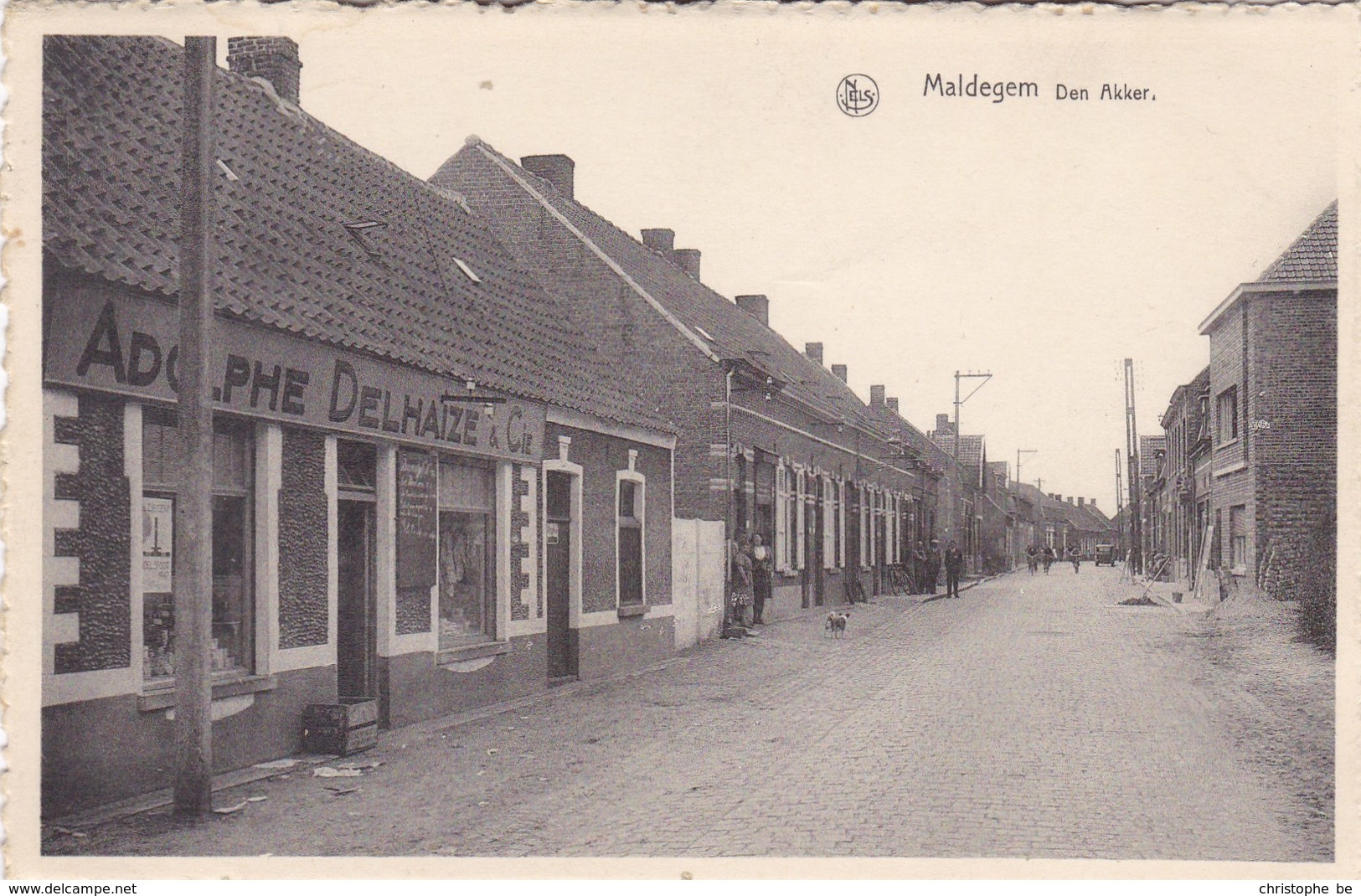 Maldeghem, Maldegem, Den Akker, Louis Delhaize Et Cie (pk58322) - Maldegem