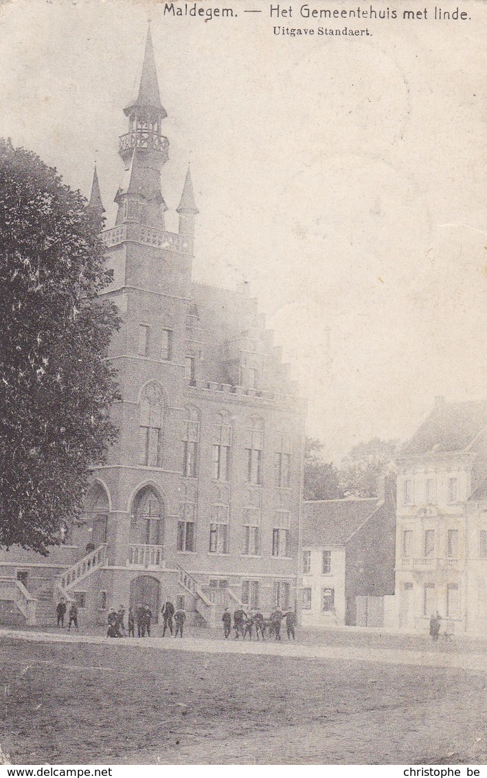 Maldeghem, Maldegem, Het Gemeentehuis Met Linde (pk58326) - Maldegem