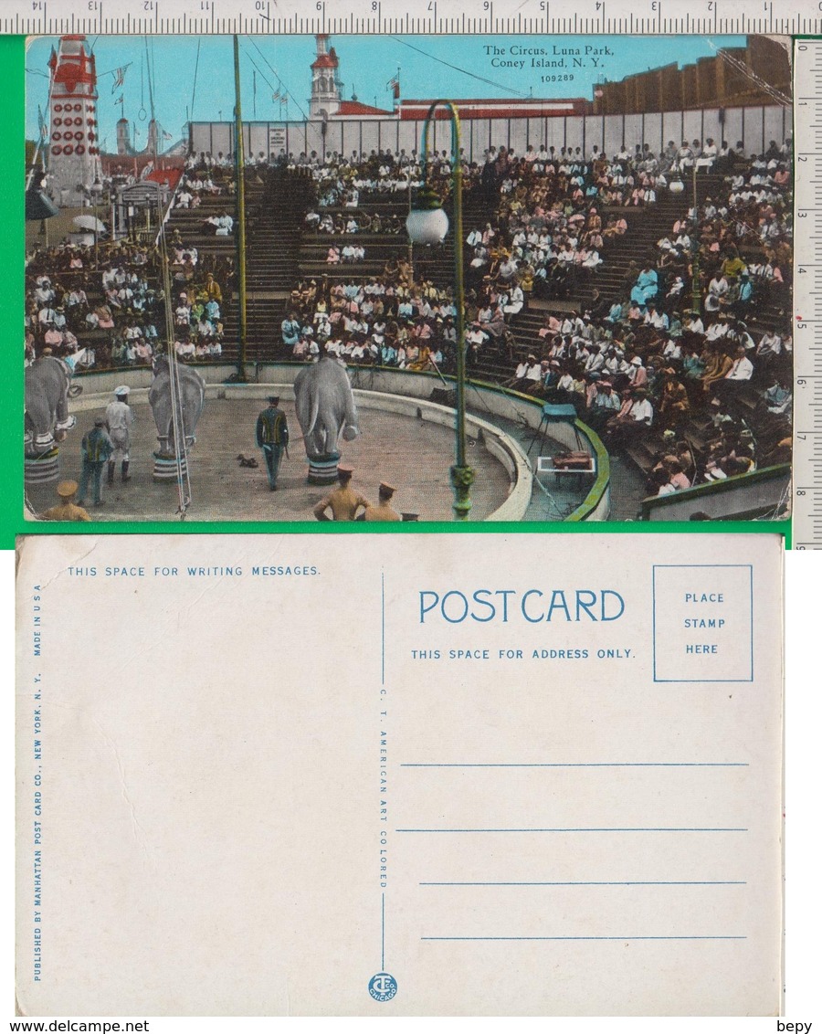 CIRCO. LUNA PARK. Coney. Island. New York. Elefante.  CIRCUS. LUNA PARK. Coney. Island. New York. Elephant.. 34/1 - Circo