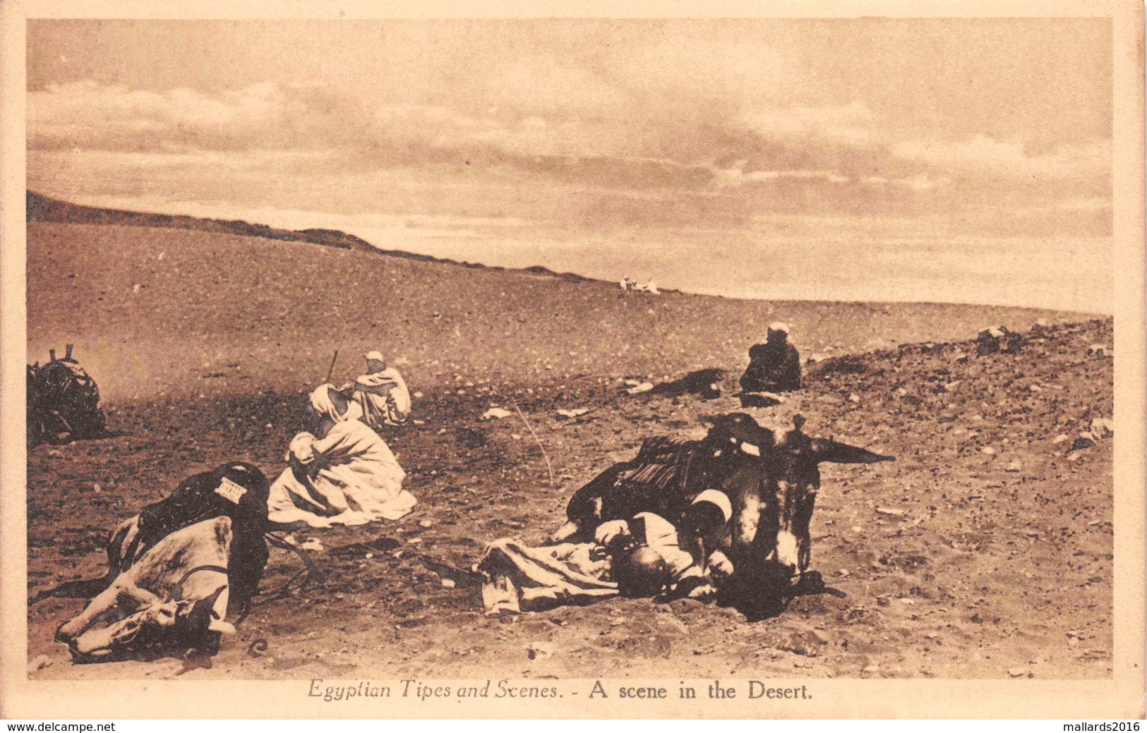 EGYPT ~ A SCENE IN THE DESSERT ~ AN OLD POSTCARD #91562 - Persons