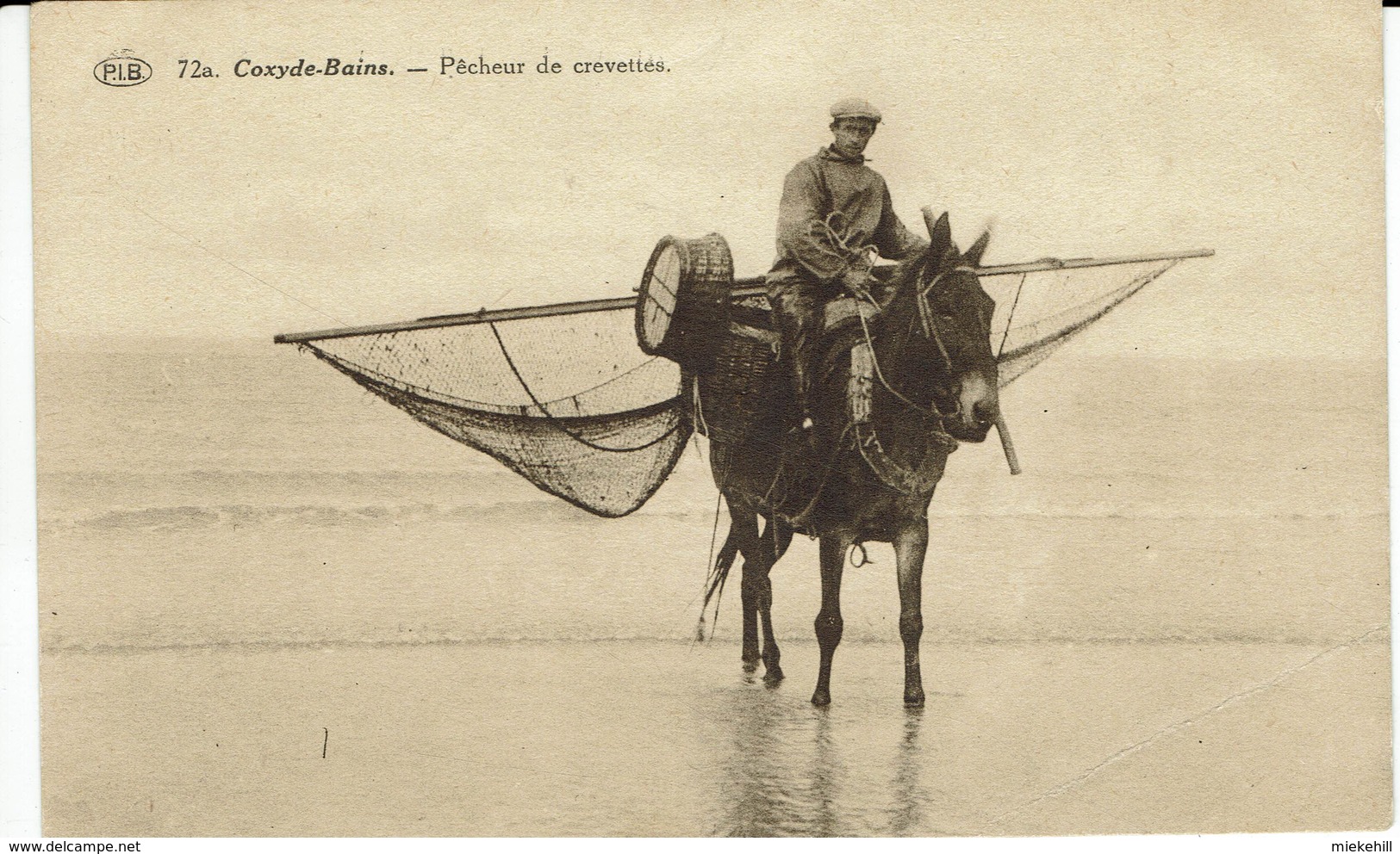 COXYDE-KOKSIJDE-PECHEUR DE CREVETTES-GARNAALVISSER-crevette-garnaal-cheval-paard - Pêche