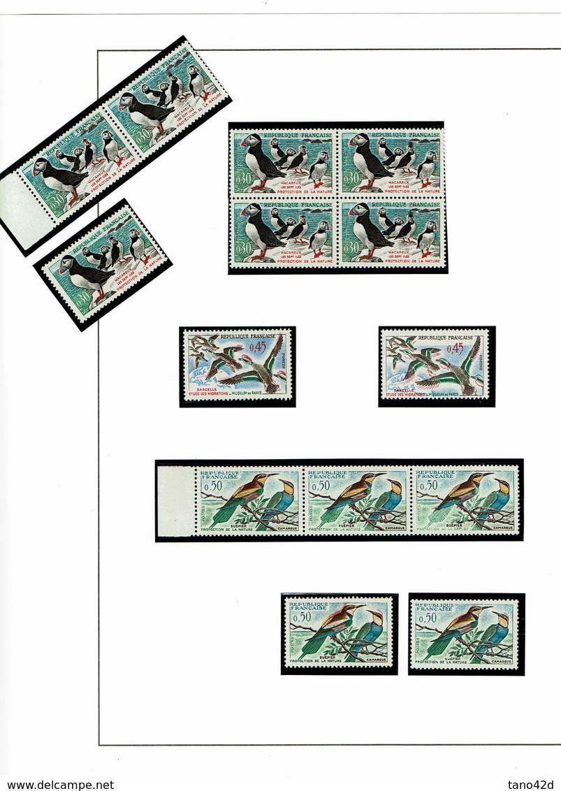 OISEAUX - LOT DE VARIETES ** TB - Unused Stamps