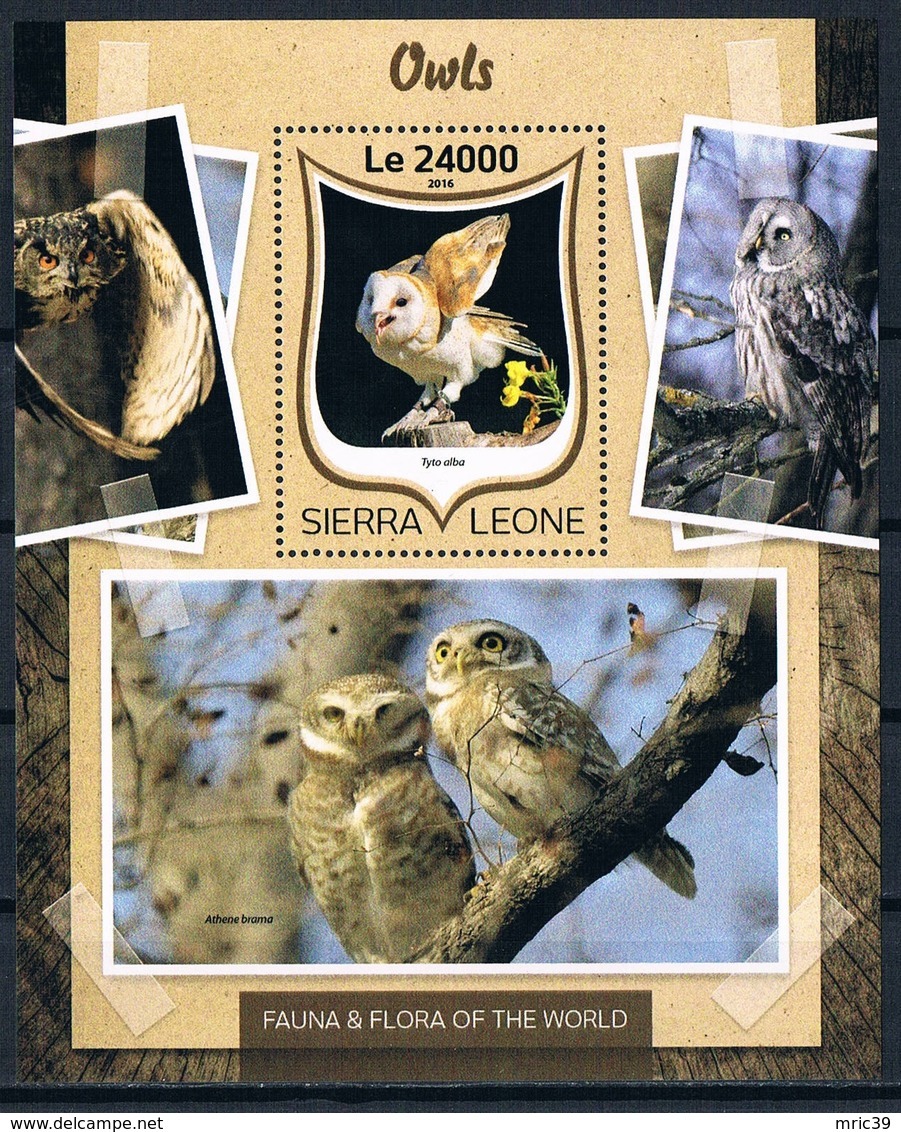 Bloc Sheet  Oiseaux Hiboux Birds Owls  Neuf  MNH ** Sierra Leone 2016 - Colibris