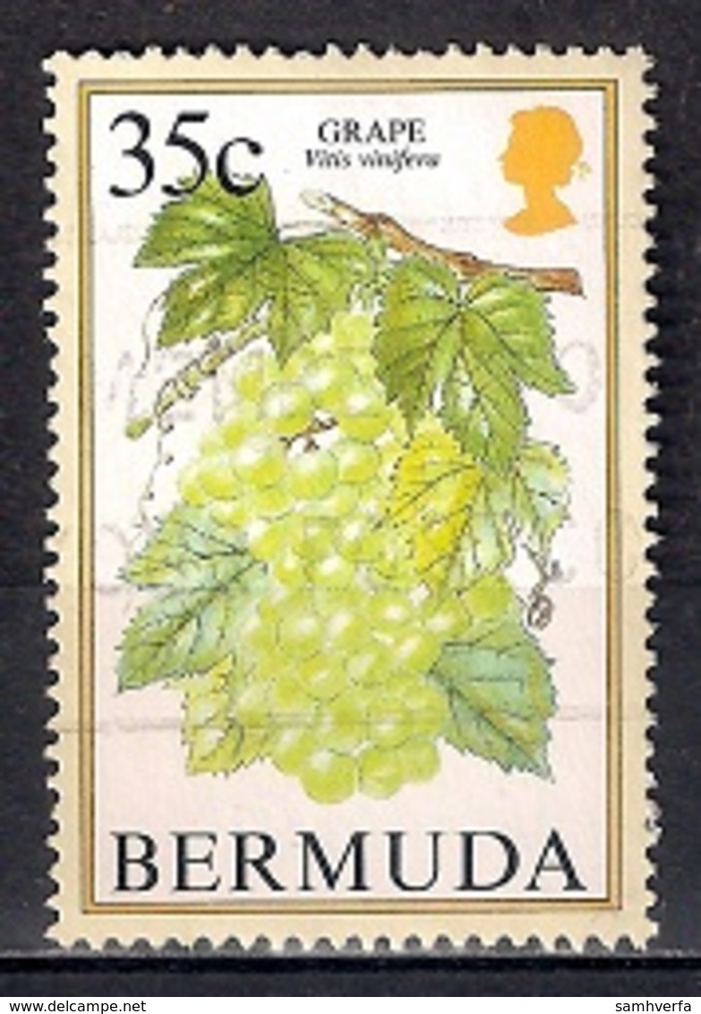 Bermuda 1994 - Flowering Fruits - Bermudas