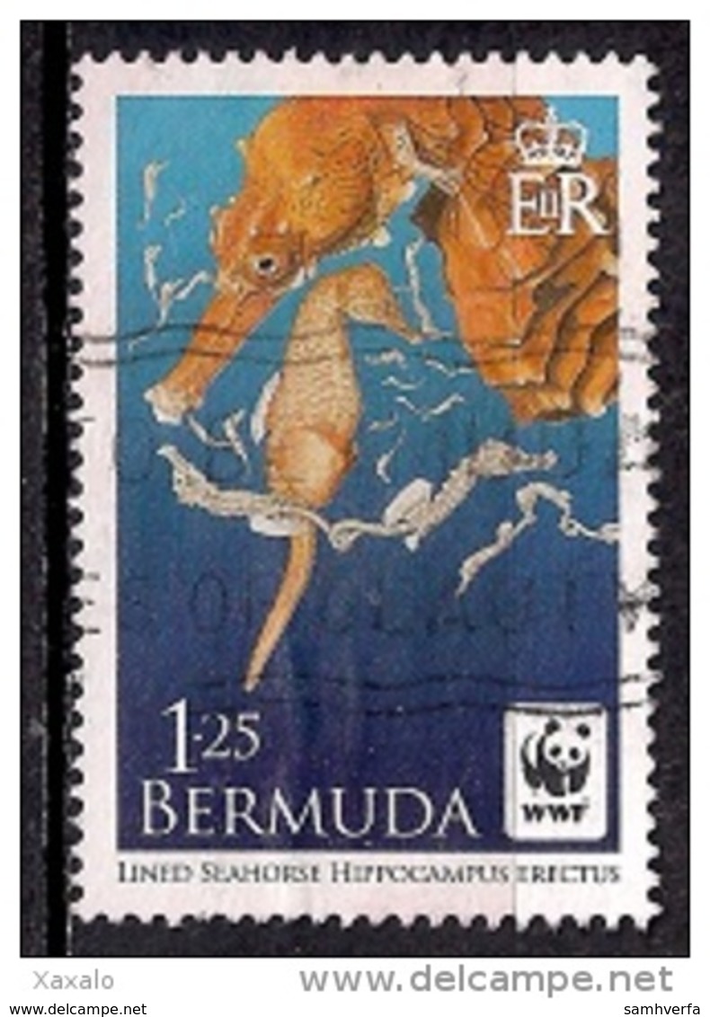 Bermuda 2010 - WWF Issue - Lined Seahorse - Bermudas