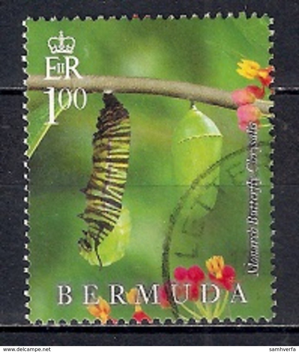 Bermuda 2016 - Butterflies - Lifecycle Of The Monarch Butterfly  From Block - Bermudas