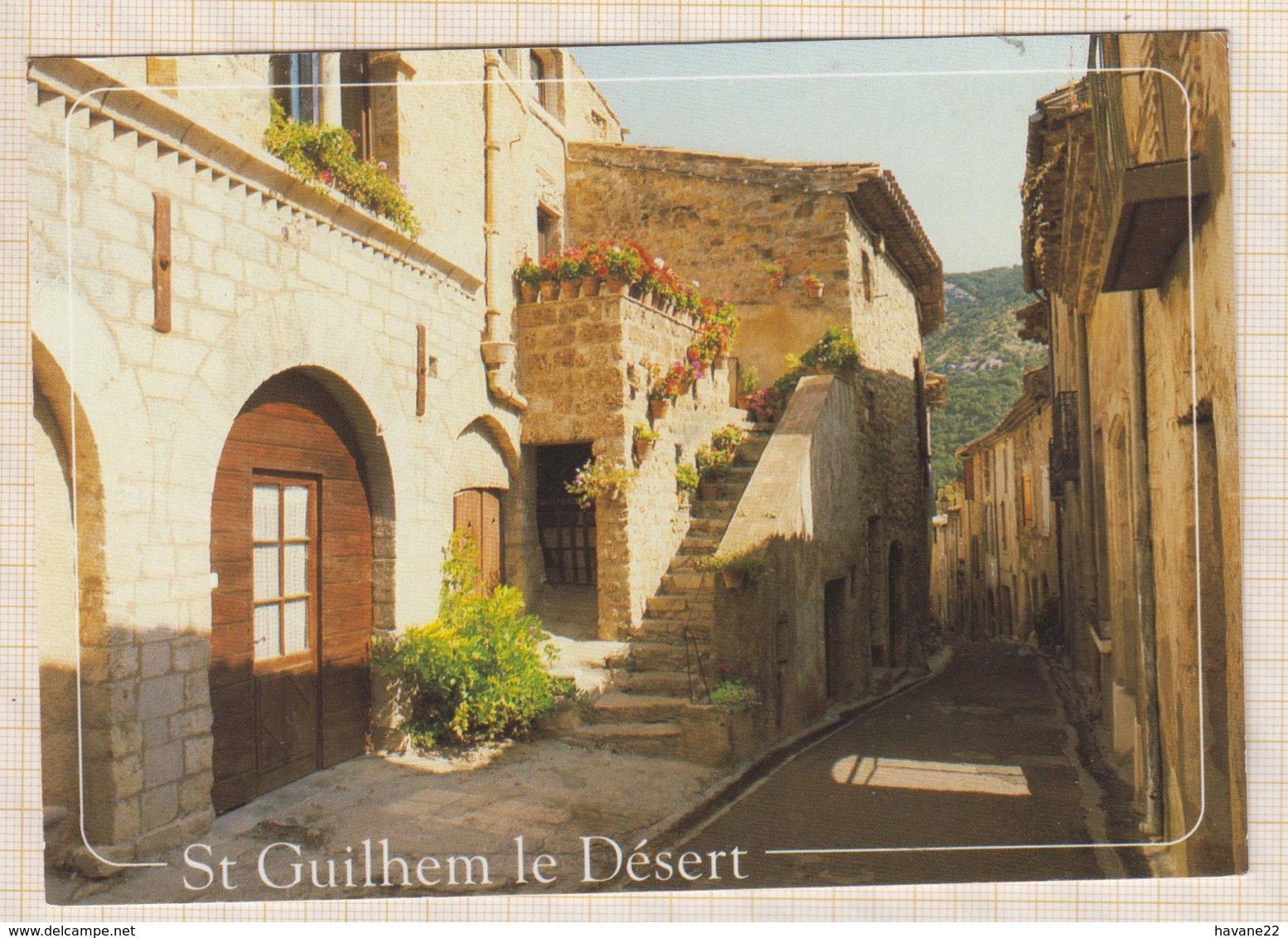 9AL885 SAINT GUILHEM LE DESERT VIEILLE RUE  2 SCANS - Autres & Non Classés