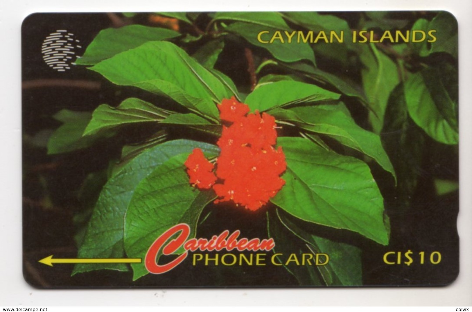 CAYMAN ISLANDS CABLE & WIRELESS MV Cards CAY-94B 1996 10$  CN 94CCIB BROADLEAF FLOWER - Isole Caiman