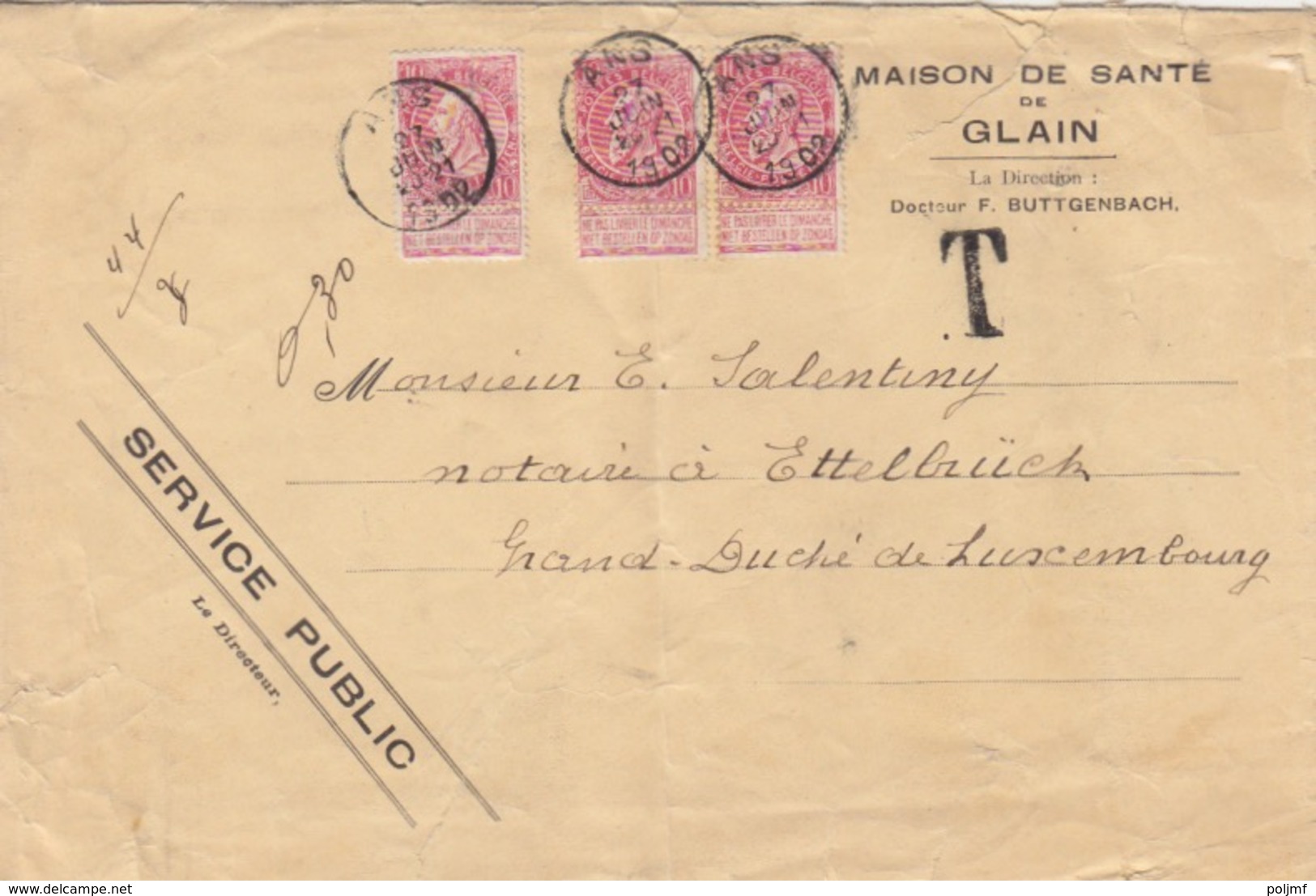 C Lettre (maison De Santé De Glain) Obl. Ans Le 27 Juin 1902 Sur 10c Rose X 3 = 2°éch. étr. Pour Ettelbrück + T (0,30) - 1893-1907 Armoiries