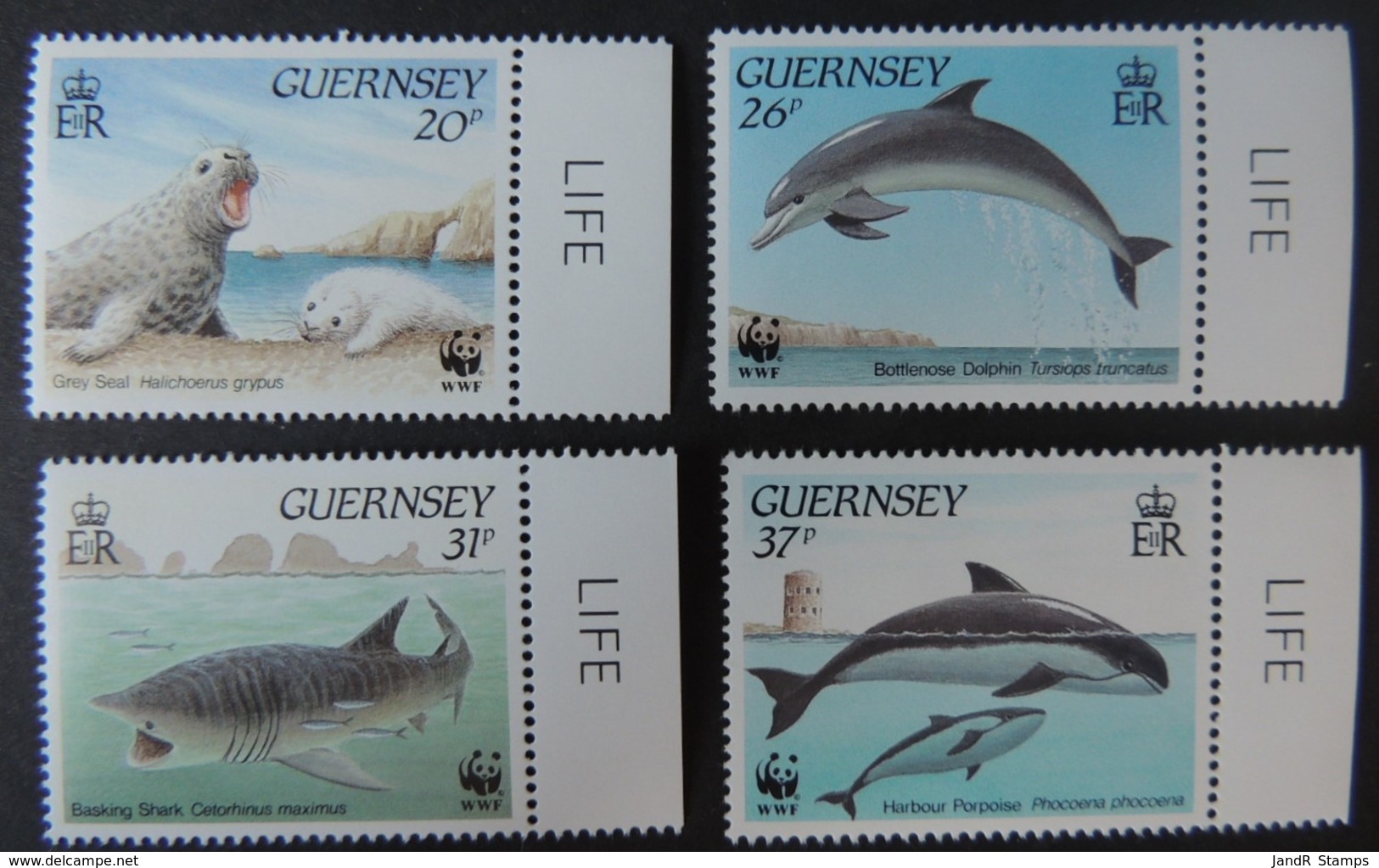 GUERNSEY 1990 MARINE LIFE SG501-504 MNH SET 4 VALUES SEALS DOLPHIN SHARK PORPOISE - Guernsey