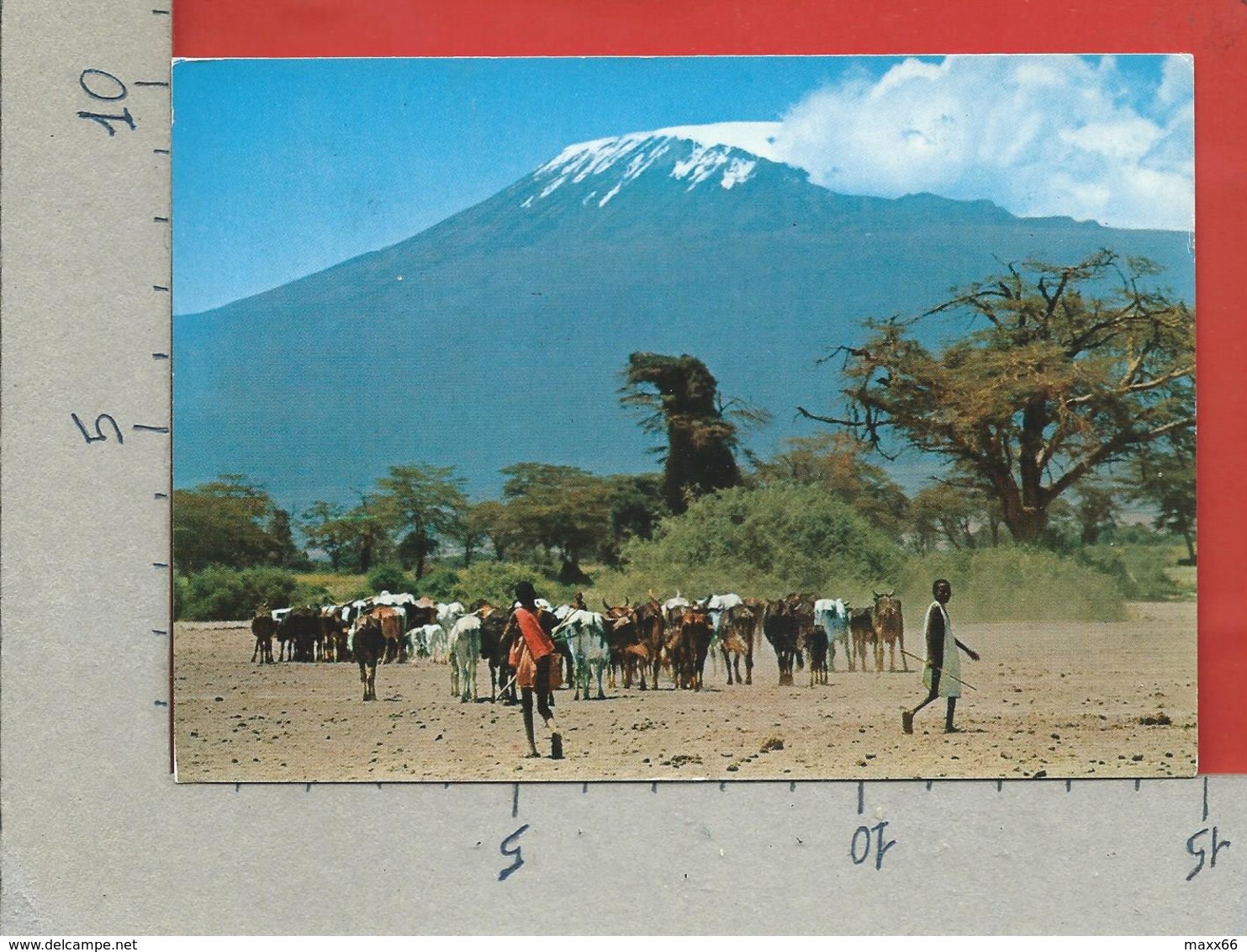 CARTOLINA VG TANZANIA - Masai Herdsmen With Mt. Kilimanjaro In Background - 10 X 15 - ANN. 1969 - Tanzania