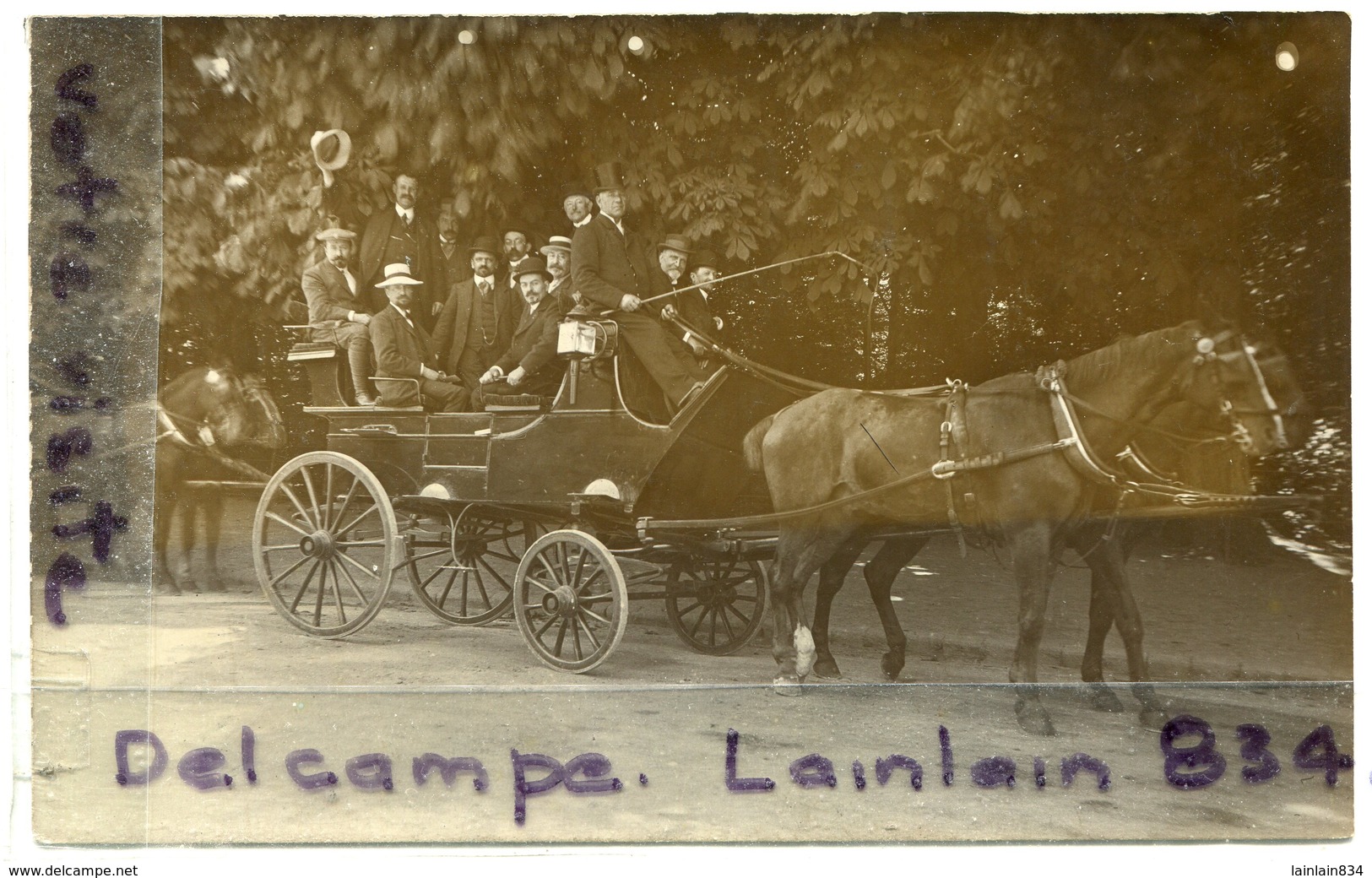 - Carte Photo - Magnifique Calèche, Voiture A Chevaux, Attelage, Non écrite, Parc ?, Jardin, , BE, Scans - Autres & Non Classés