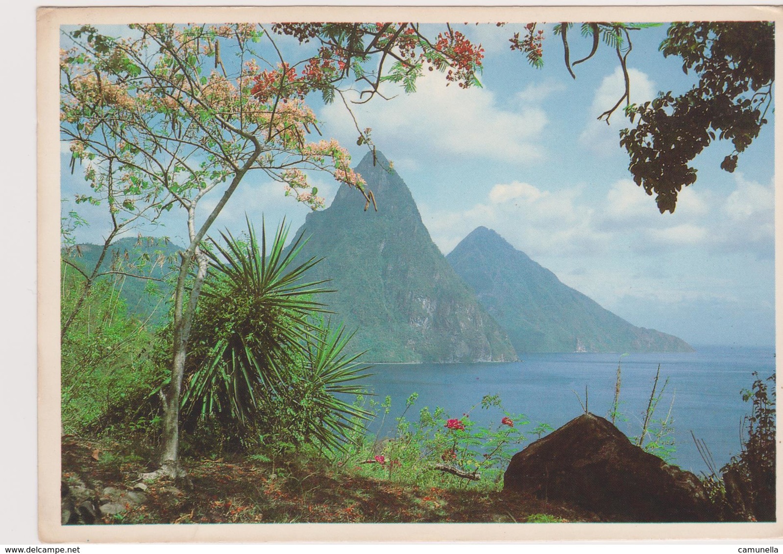 Antille -saint Lucia - Sainte-Lucie