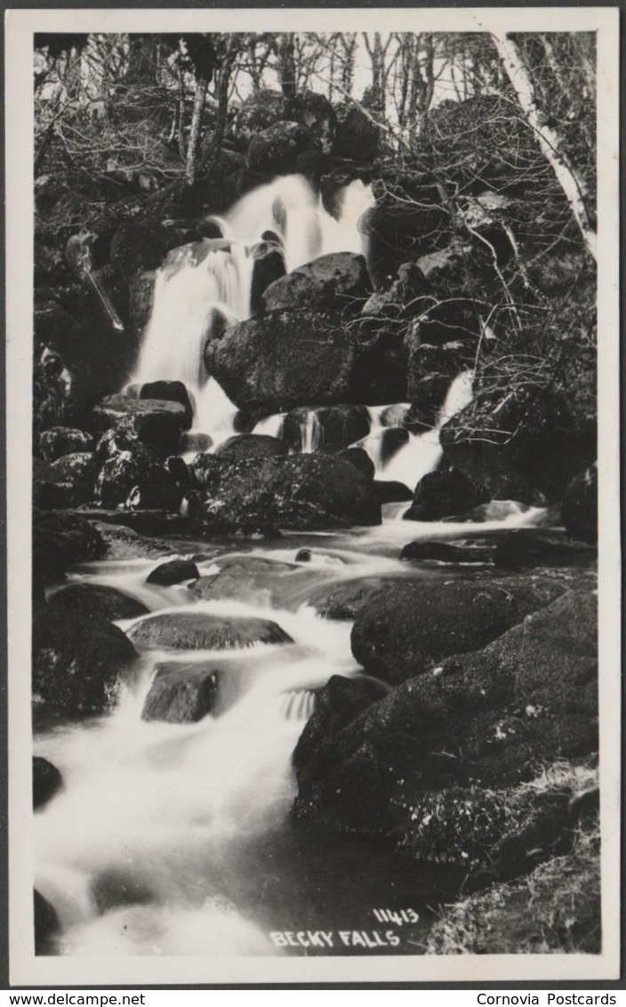 Becky Falls, Manaton, Devon, C.1930s - Chapman RP Postcard - Dartmoor