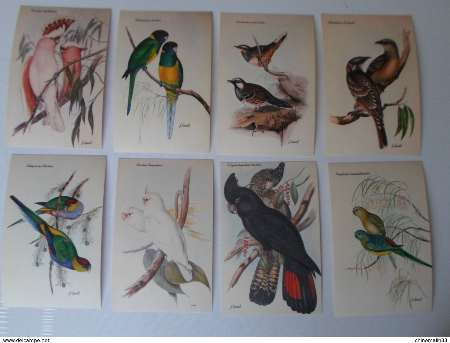 Ornithologie Collection De 40 Cartes  Thème Les Oiseaux De John Gould Dimension 9x14 Légende Au Verso 88 Photos - Birds