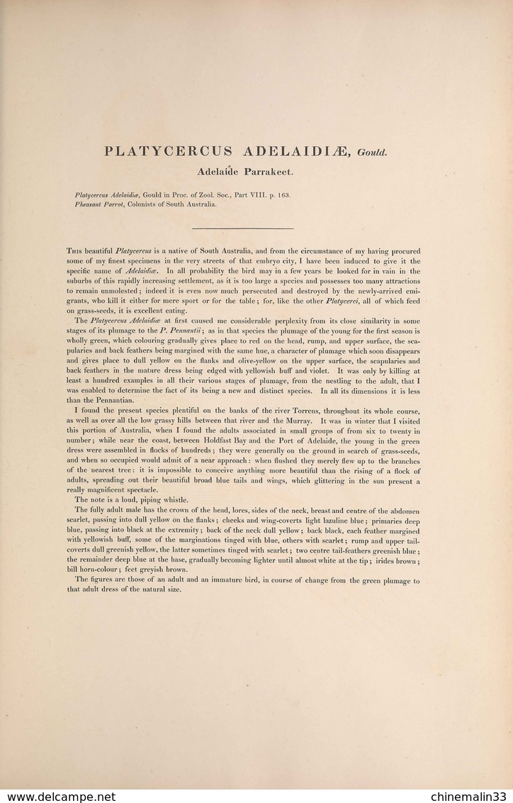 Ornithologie collection de 40 cartes  thème les Oiseaux de John Gould dimension 9x14 légende au verso 88 photos