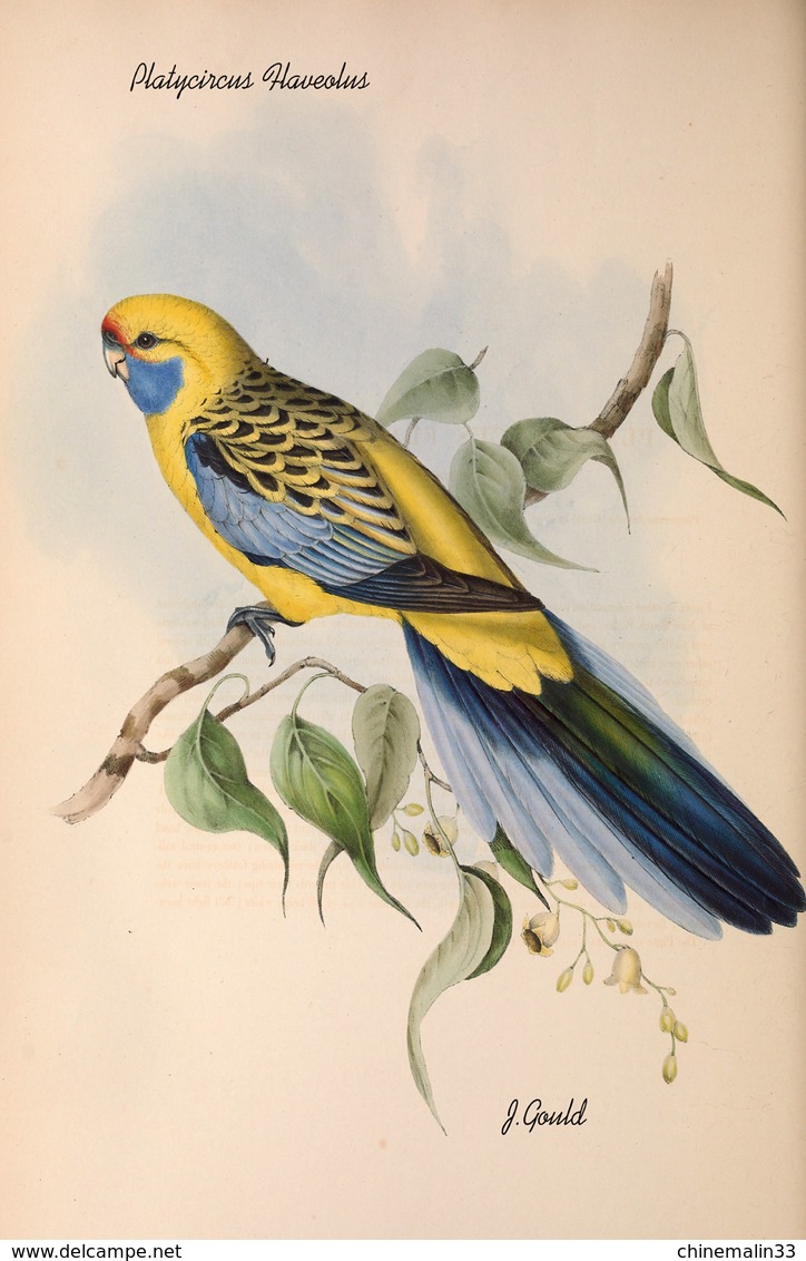 Ornithologie collection de 40 cartes  thème les Oiseaux de John Gould dimension 9x14 légende au verso 88 photos