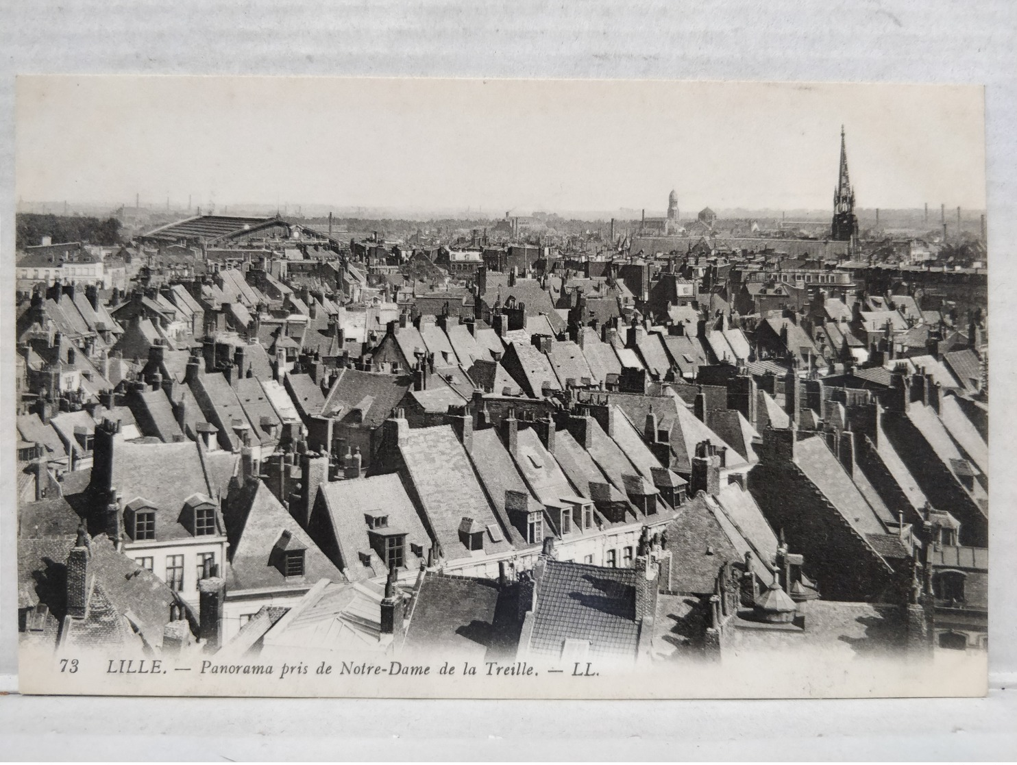 Lille. Panorama Pris De N.D. - Lille