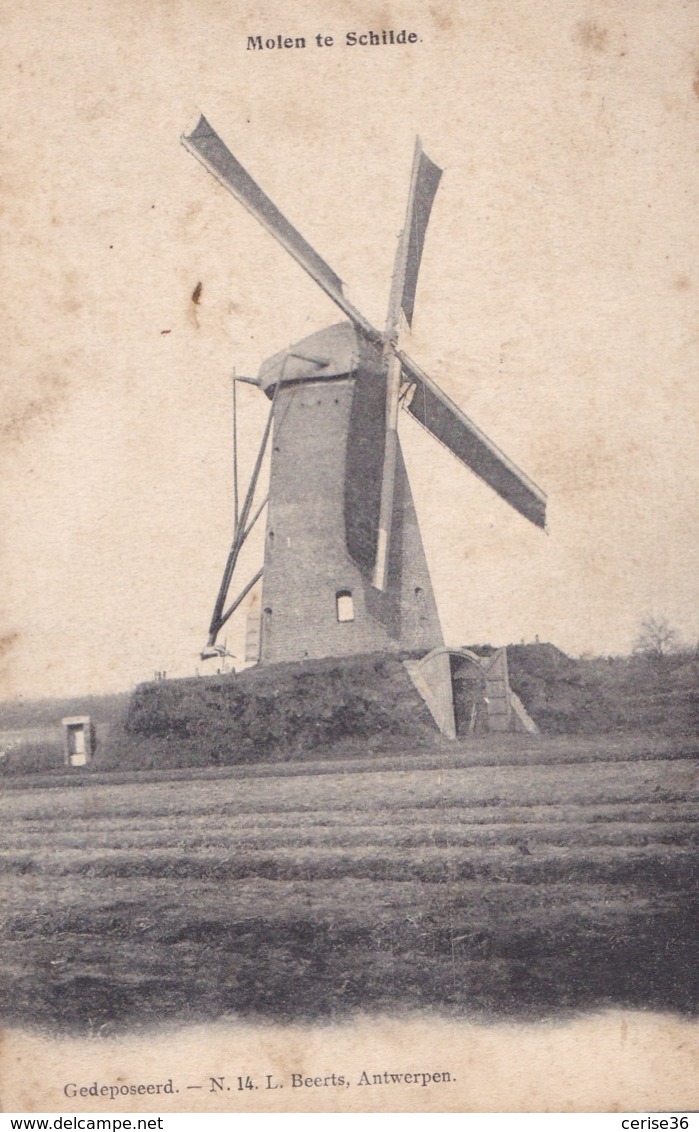 Molen Te Schilde - Schilde