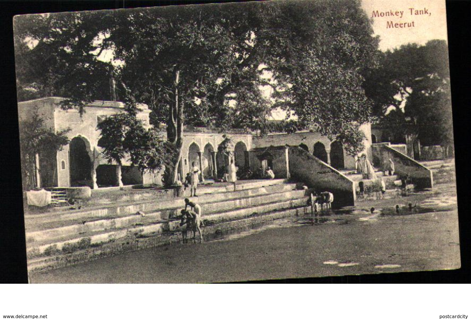 India Monkey Tank Meerut 1909 - Indien