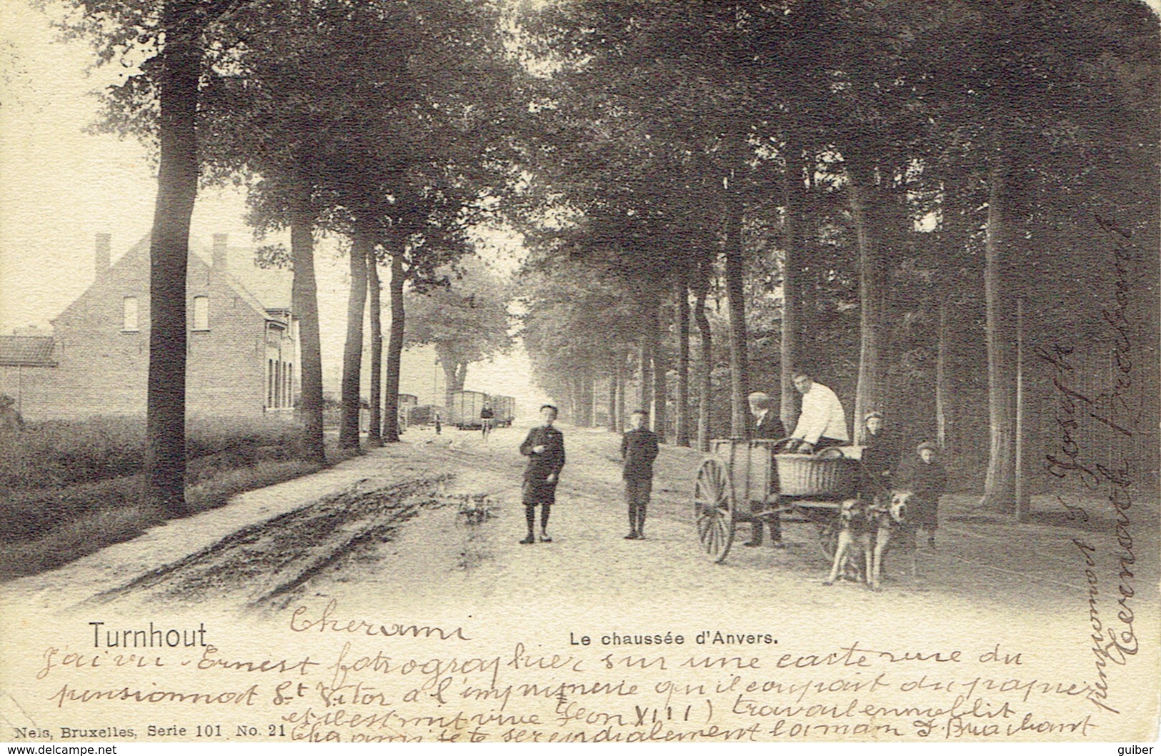 Turnhout La Chaussee D'anvers  Tram Et Attelage De  Chiens - Turnhout