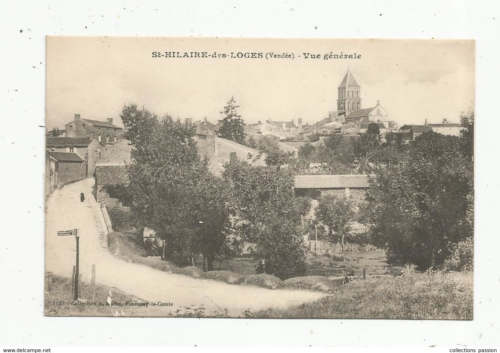 Cp, 85 ,  SAINT HILAIRE DES LOGES ,  Vue Générale ,  Vierge - Saint Hilaire Des Loges