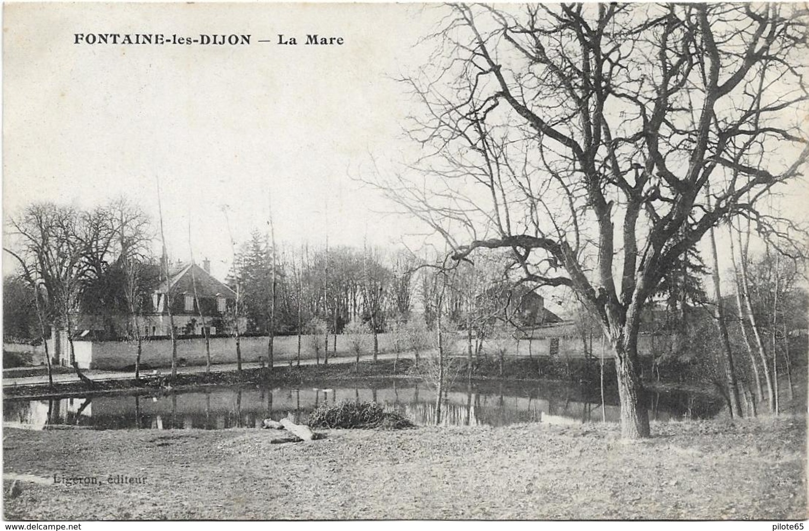 FONTAINE - LES - DIJON / LA MARE - Autres & Non Classés