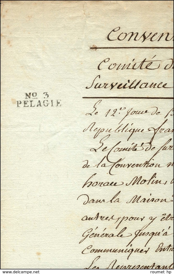 N° 3 / PELAGIE (2 Frappes) Sur Document Du Comité De Sureté Générale Et De Surveillance De La Convention Nationale. An 4 - Burgerlijke Brieven Zonder Portkosten