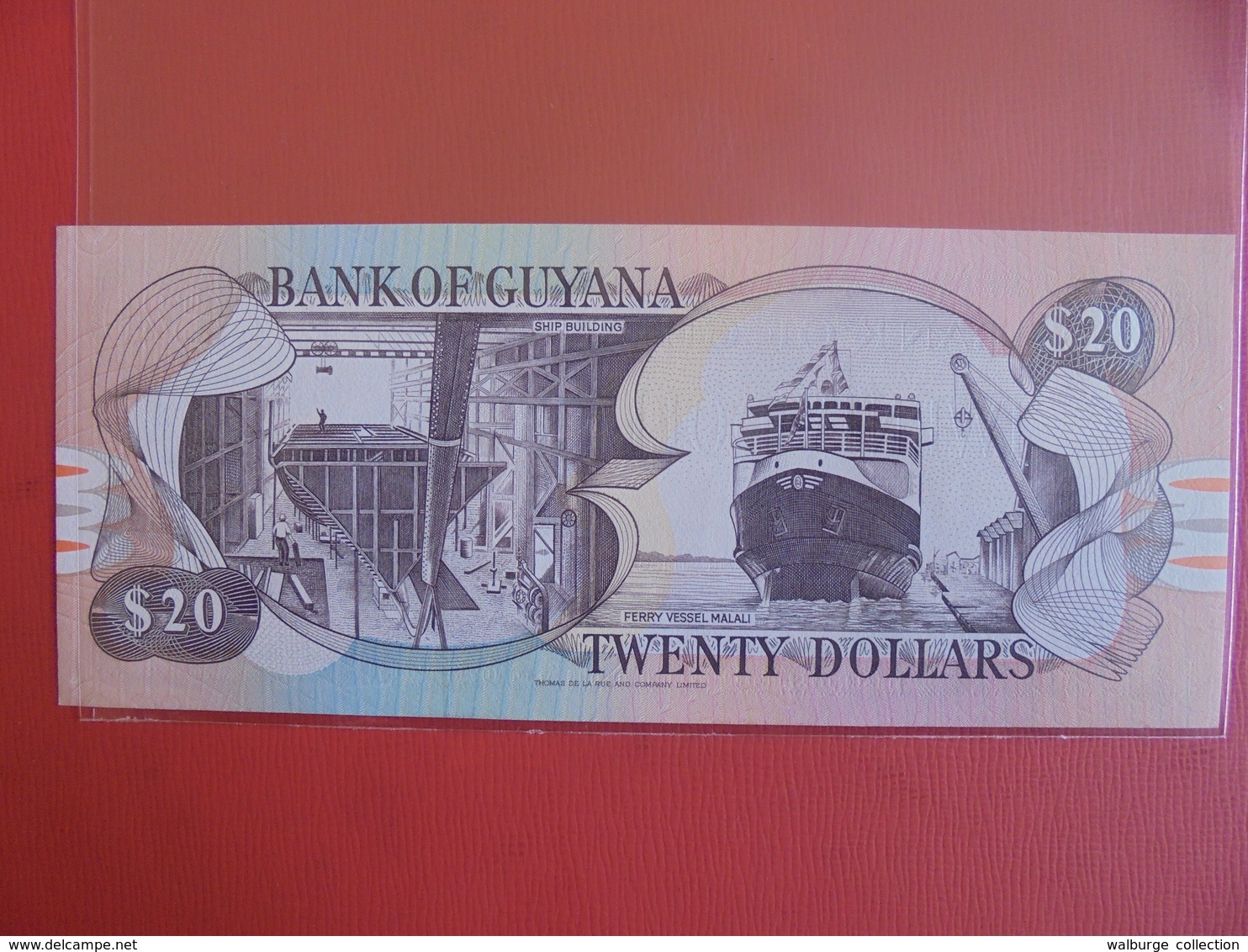 GUYANA 20$ 1996 PEU CIRCULER/NEUF - Guyana