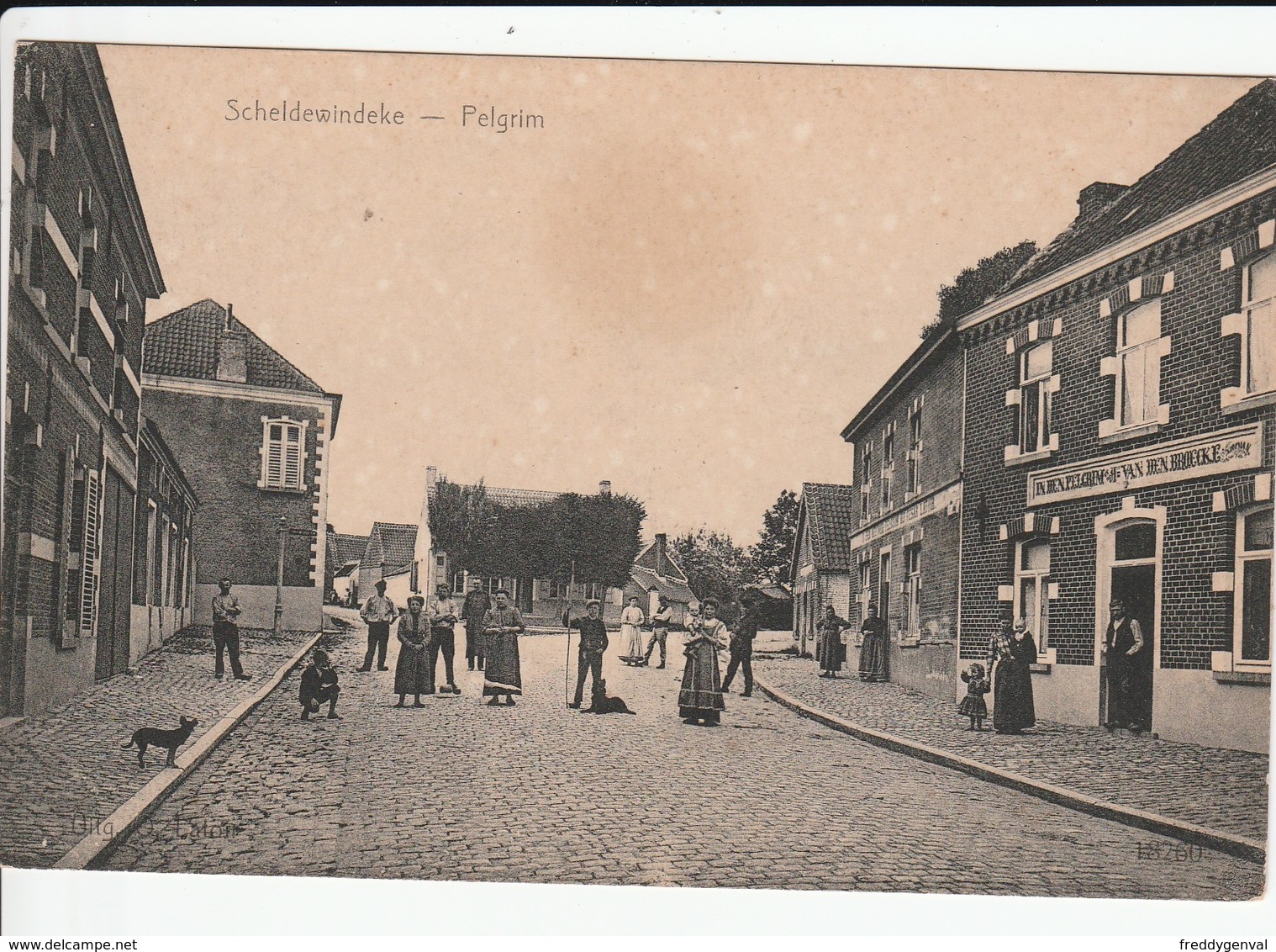 SCHELDEWINDEKE PELGRIM - Oosterzele