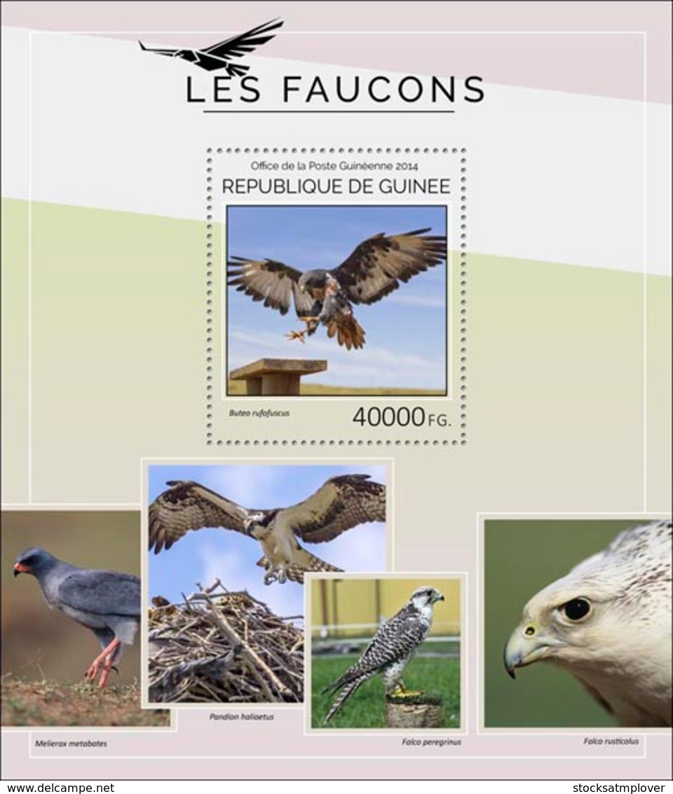 Guinea 2014 Fauna Hawks Birds Of Prey - Guinée (1958-...)