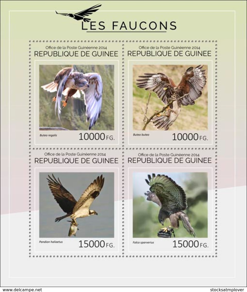 Guinea 2014 Fauna Hawks Birds Of Prey - Guinée (1958-...)