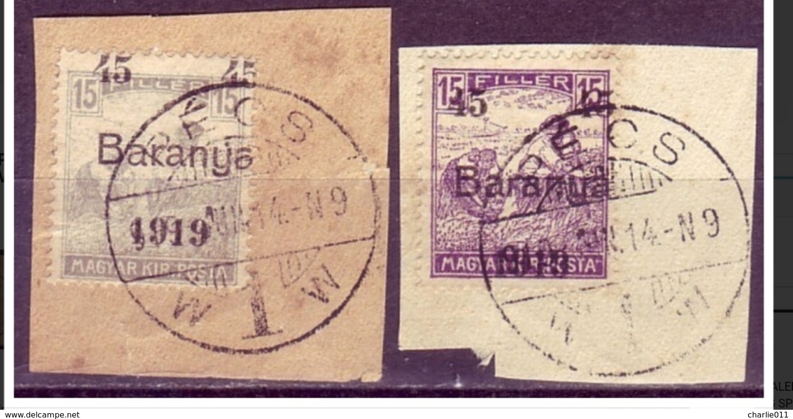 HARVESTERS-OVERPRINT 45 ON 15 FILL-BARANYA-ERROR- VARIETY - YUGOSLAVIA - HUNGARY - 1919 - Baranya