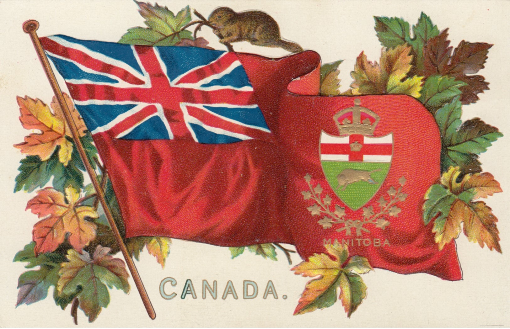 Manitoba , Canada , 1907 ; Flag & Coat Of Arms : TUCK 2911 - Winnipeg