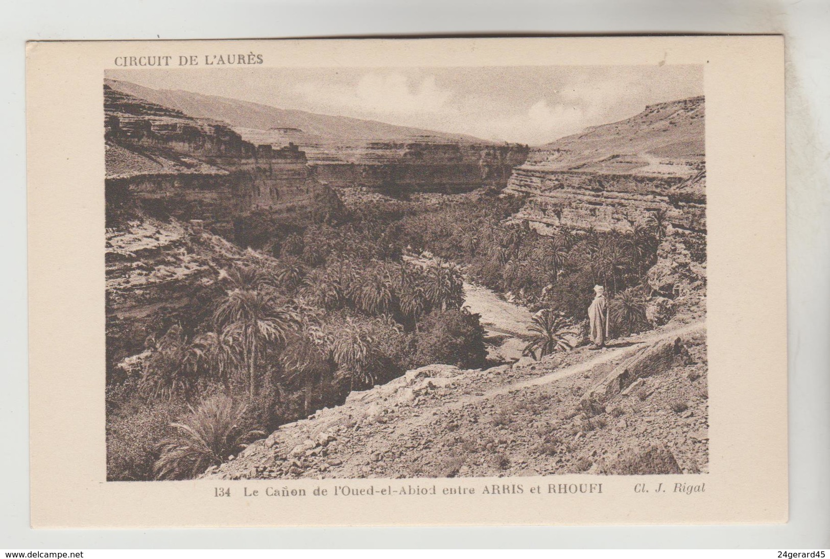 CARNET COMPLET 20 CPSM ALGERIE - L'AURES les oasis dans la montagne : Paysages