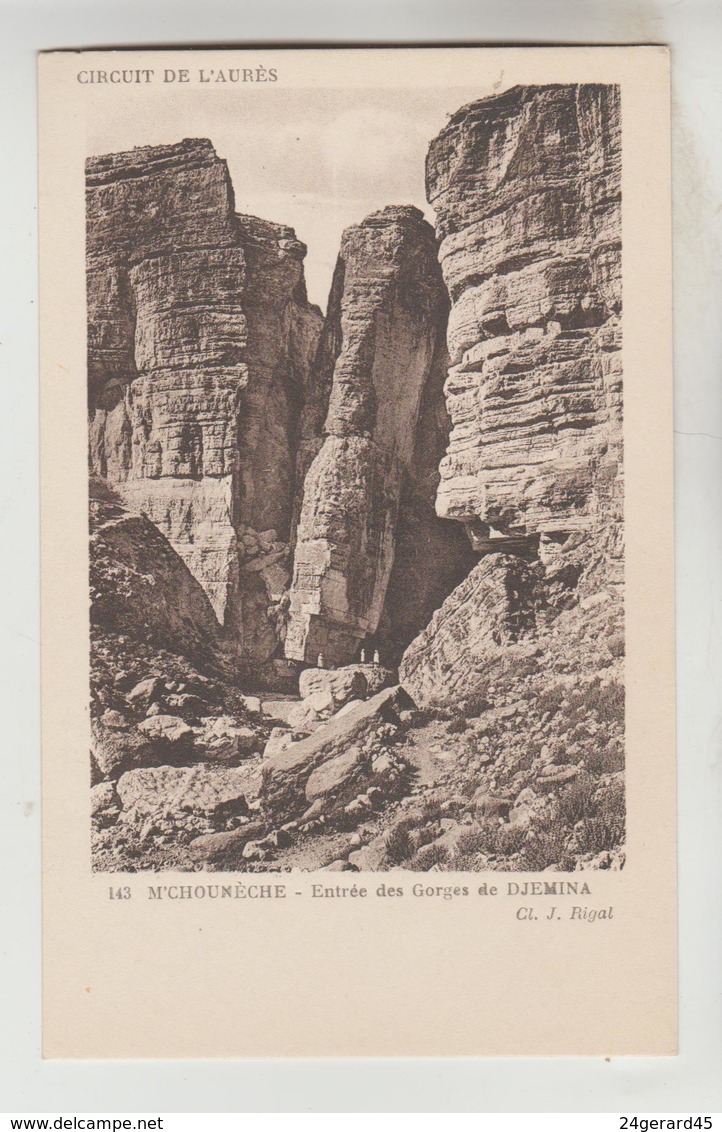 CARNET COMPLET 20 CPSM ALGERIE - L'AURES les oasis dans la montagne : Paysages