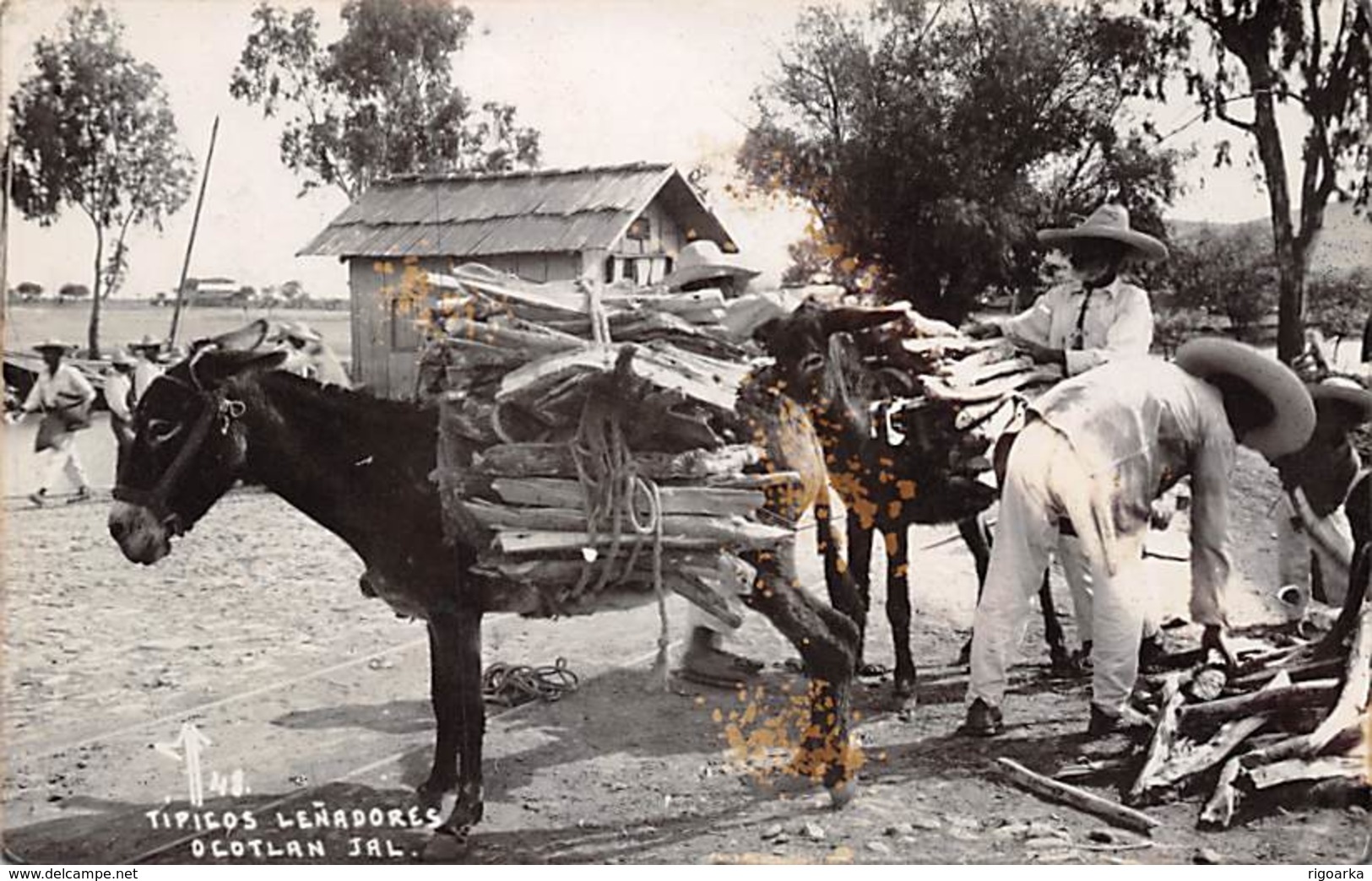 OCOTLAN JAL. (MÉXICO).- TIPICOS LEÑADORES - America