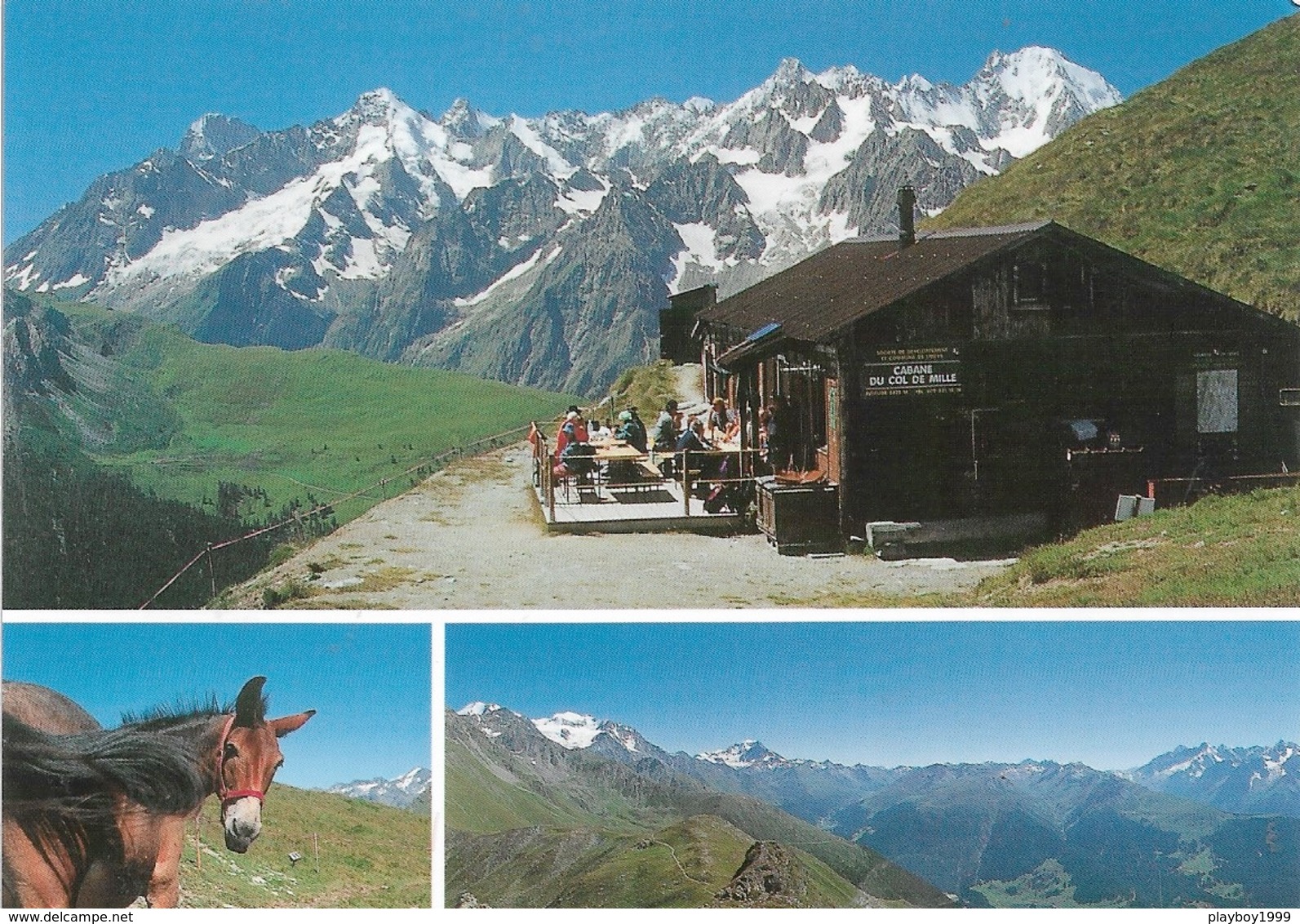 SUISSE - Cabane Du Col De Mille - Les Grandes Jorasses - 1 Timbre Philatélique Au Verso, Voir Scan - Cpm - écrite - - Au