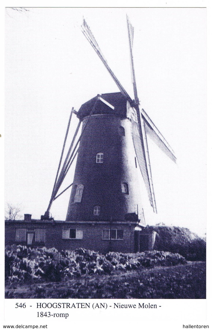 Hoogstraten: Nieuwe Molen ( 2 Scans) - Hoogstraten