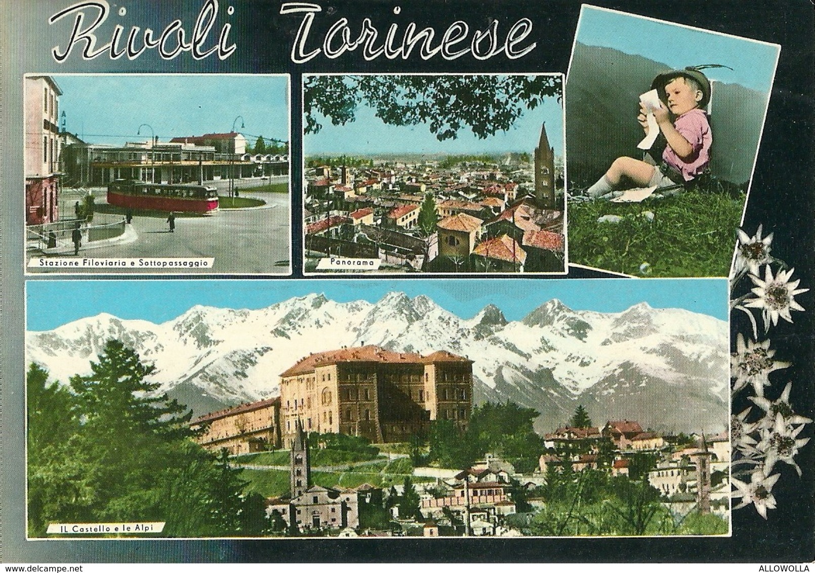 3103 "RIVOLI TORINESE-4 VEDUTE " FILOBUS CARTOLINA POST. ORIG. NON SPEDITA - Rivoli