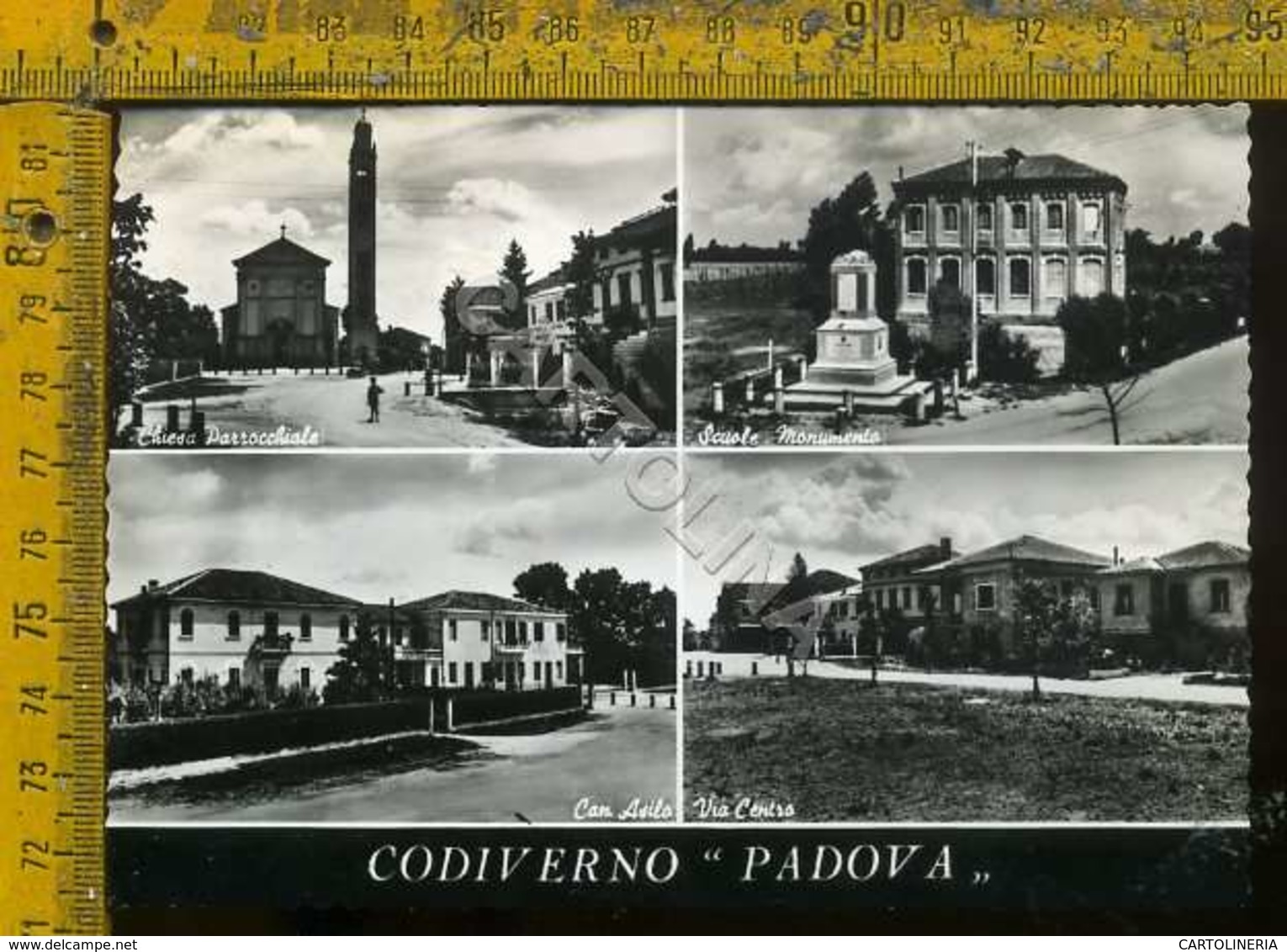 Padova Codiverno - Padova