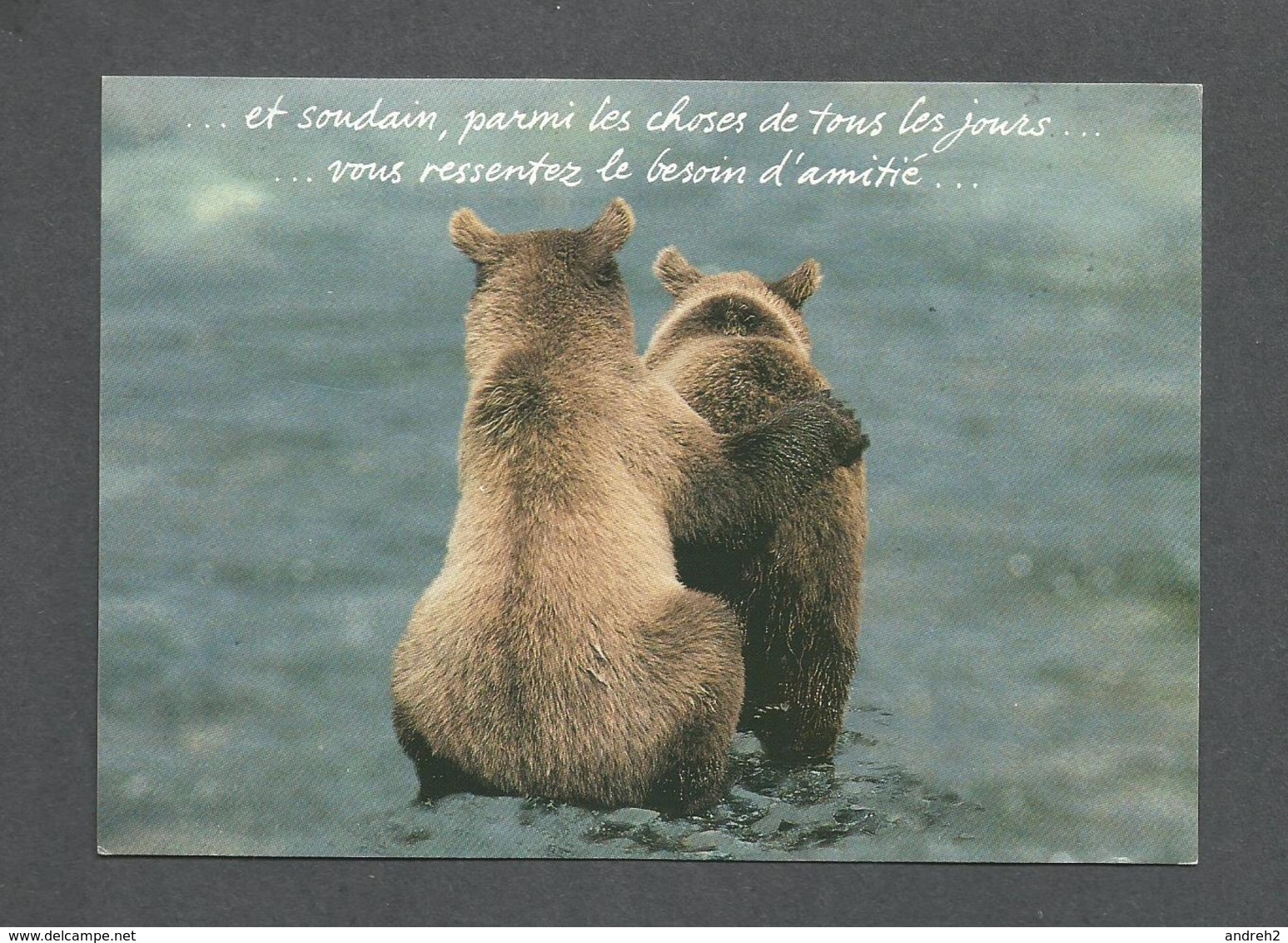 ANIMAUX - ANIMALS - HUMOUR - OURS - ET SOUDAIN PARMI LES CHOSES DE TOUS LES JOURS VOUS RESSENTEZ LE BESOIN D'AMITIÉ - Ours